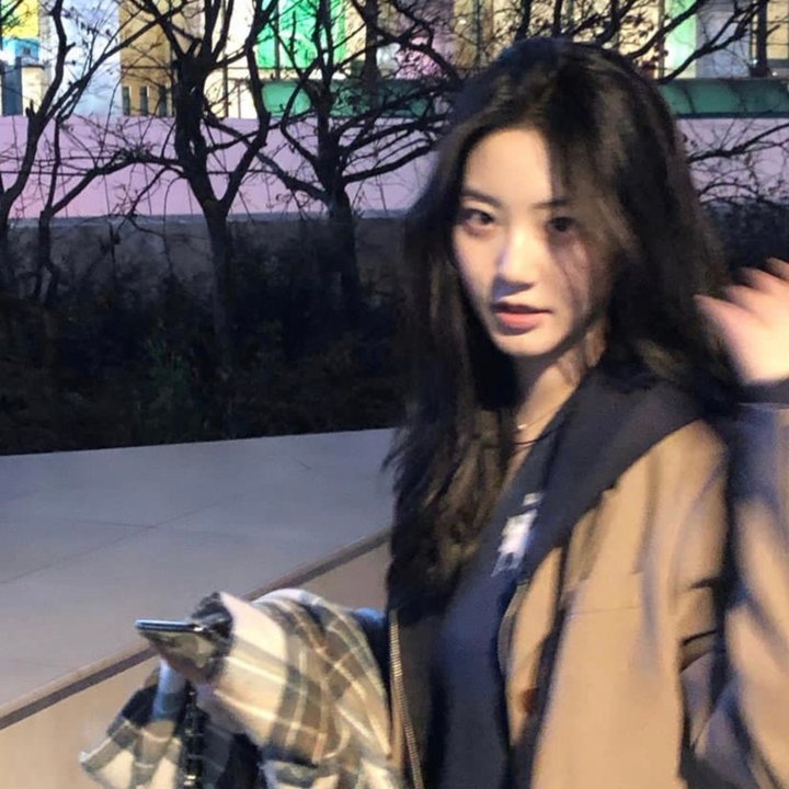 红楼春怨