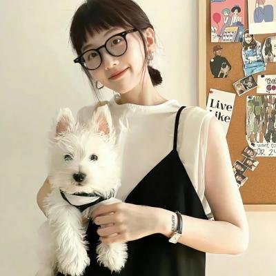 教宗的承继